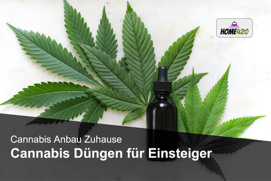 Cannabis Blatt vor weißem Hintergrund mit Düngerflasche